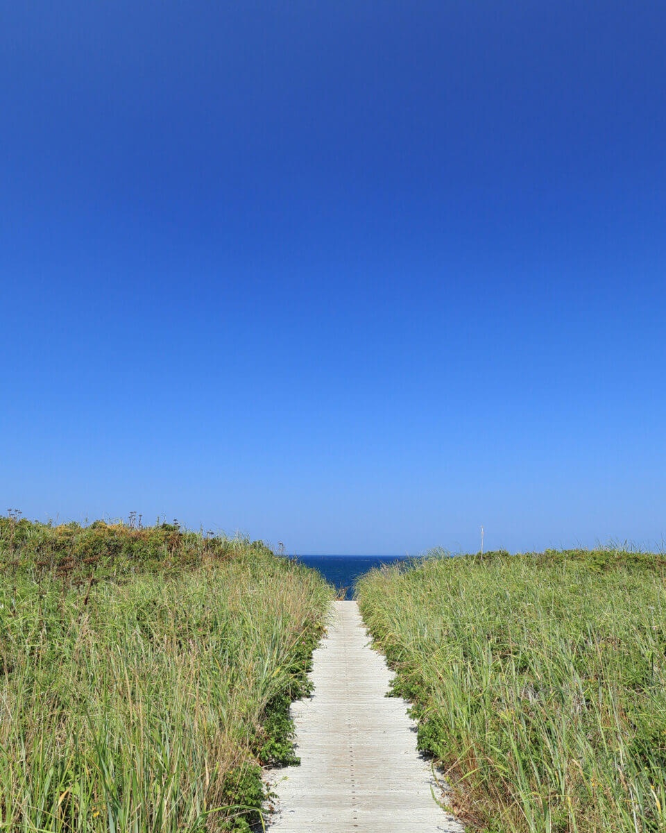 青い空と海へ真っ直ぐつながる白い道。