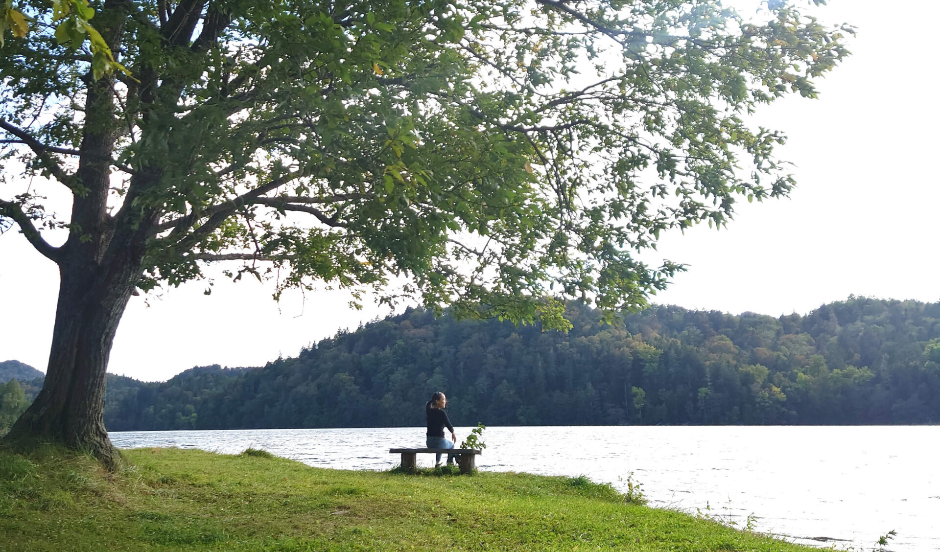 autumn lake